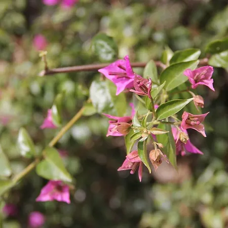 Junto A Fonte Luminosa Apartamento *