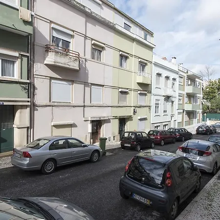 Junto A Fonte Luminosa *