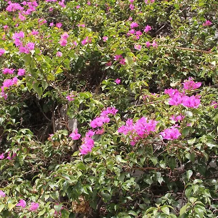 Junto A Fonte Luminosa * Lissabon